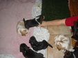 Enlarge photo 125