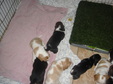 Enlarge photo 126