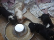 Enlarge photo 128