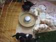 Enlarge photo 129