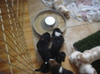 Enlarge photo 130