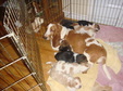 Enlarge photo 132