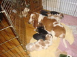 Enlarge photo 133