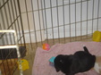 Enlarge photo 139