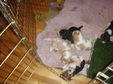 Enlarge photo 141