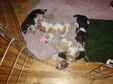Enlarge photo 142