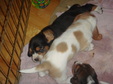 Enlarge photo 143
