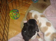 Enlarge photo 144