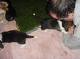 Enlarge photo 148