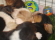 Enlarge photo 151