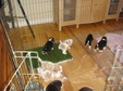 Enlarge photo 152