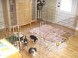 Enlarge photo 153