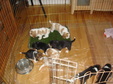 Enlarge photo 154
