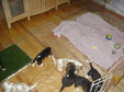 Enlarge photo 155