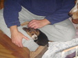 Enlarge photo 156