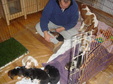 Enlarge photo 157