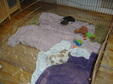 Enlarge photo 159