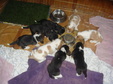 Enlarge photo 166