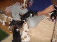 Enlarge photo 167