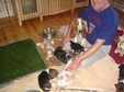 Enlarge photo 168