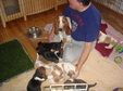 Enlarge photo 169