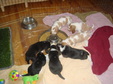 Enlarge photo 170