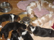Enlarge photo 171