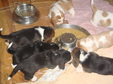 Enlarge photo 172