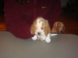 Enlarge photo 177