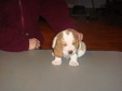 Enlarge photo 178