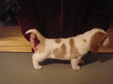 Enlarge photo 176