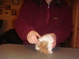 Enlarge photo 200