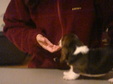 Enlarge photo 209