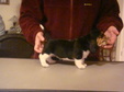 Enlarge photo 239