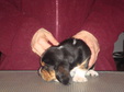 Enlarge photo 244