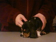 Enlarge photo 245