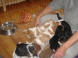 Enlarge photo 2