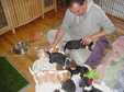 Enlarge photo 3