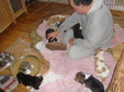 Enlarge photo 8