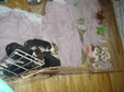 Enlarge photo 9
