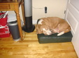 Enlarge photo 13