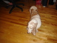 Enlarge photo 14