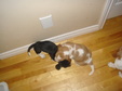 Enlarge photo 20