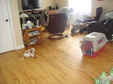 Enlarge photo 24