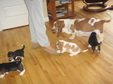 Enlarge photo 26