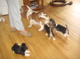 Enlarge photo 27
