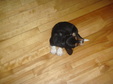 Enlarge photo 28