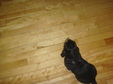 Enlarge photo 29