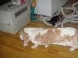 Enlarge photo 30