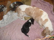 Enlarge photo 35